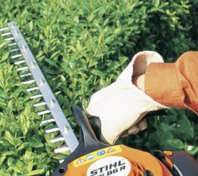 Élagueur en action à Antony, abattage d'arbre